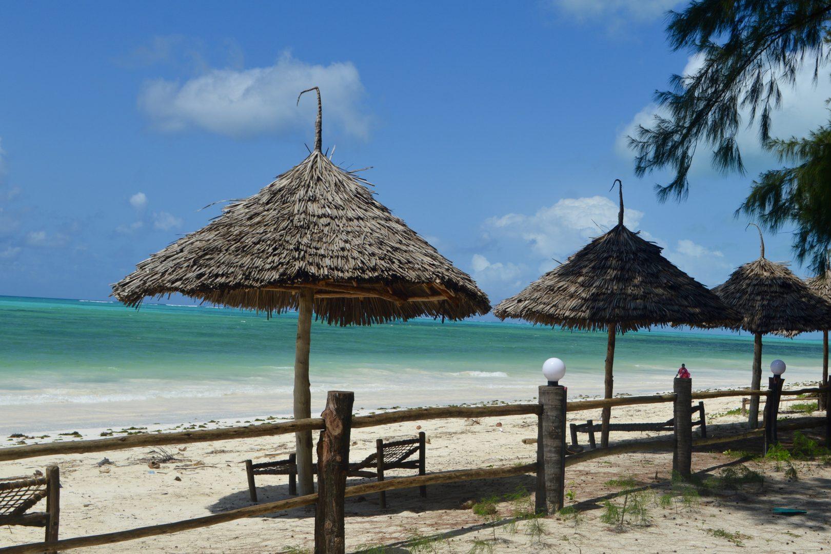 Paje Zanzibar Artu Expeditions
