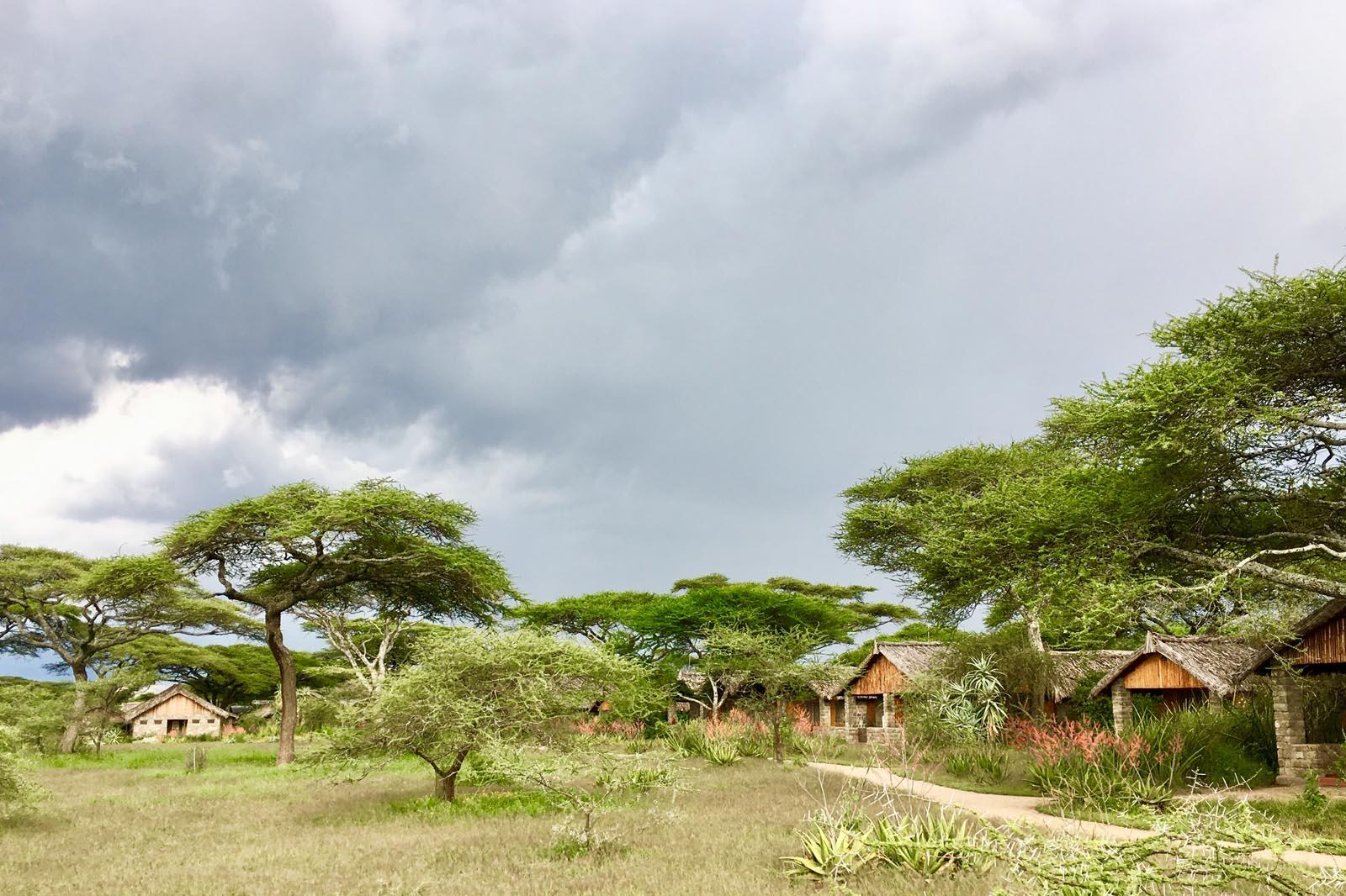 ndutu safari lodge contacts